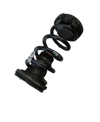 Chrysler Pacifica Rear coil spring 68231026AA 1026AA