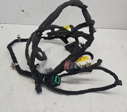 Front door wiring loom