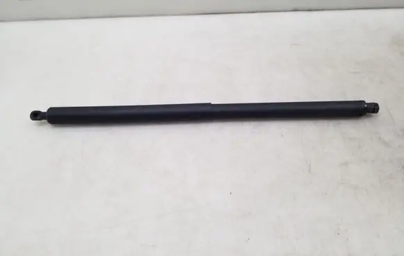 Tailgate strut