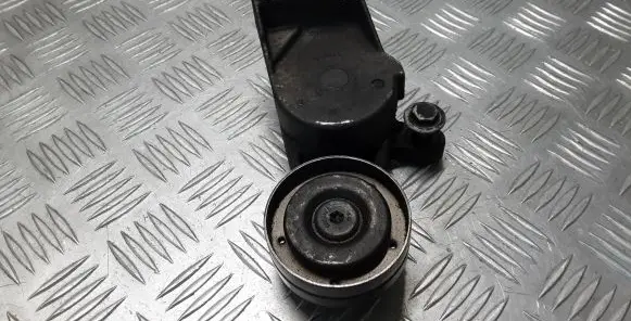 Volkswagen Golf IV Timing belt/chain tensioner 950434