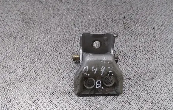 Citroen C4 I Rear door lower hinge