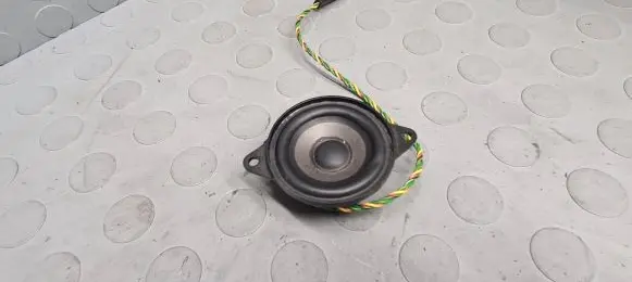 BMW X5 E53 Panel speaker 8379375