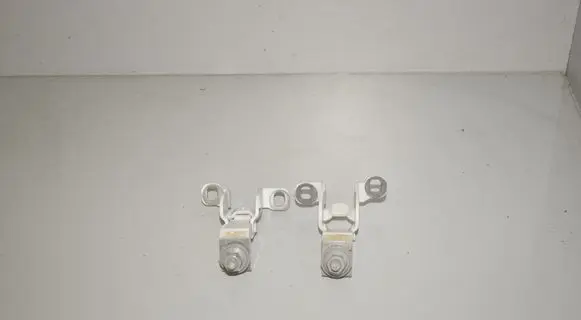 Tailgate/trunk/boot hinge