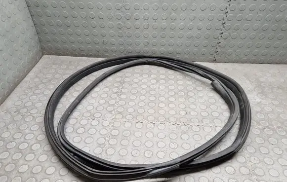 BMW i3 Front door rubber seal 7301741