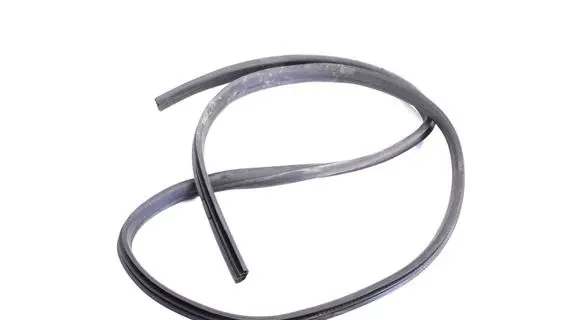 Ford Fiesta Rubber seal rear door 