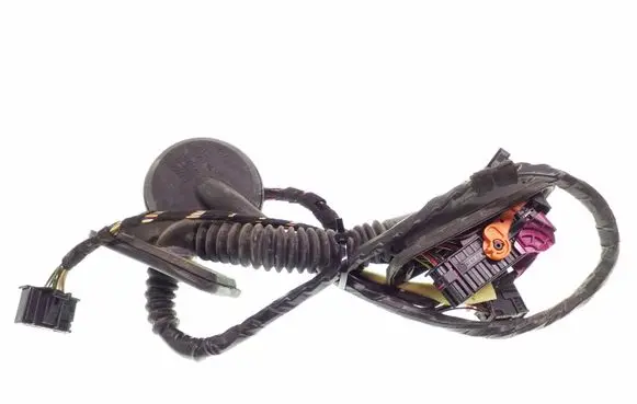 Rear door wiring loom