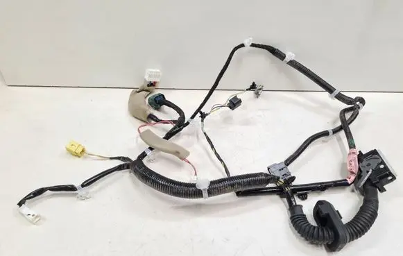Front door wiring loom