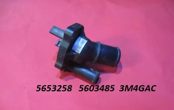 Thermostat/thermostat housing