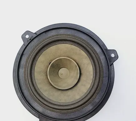Rear door speaker