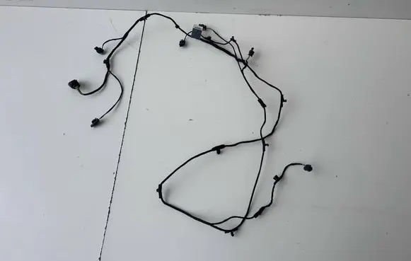 Audi A4 S4 B9 8W Other wiring loom 8W0971095J