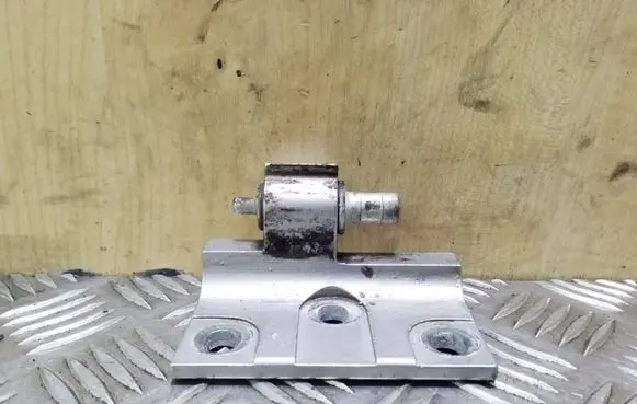 Volkswagen Crafter Front door lower hinge 