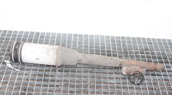 Mercedes-Benz S W220 Rear shock absorber/damper C086054O5