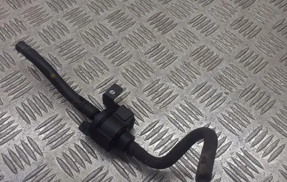 Hyundai Trajet Valve vacuum 
