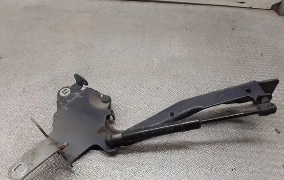 Engine bonnet/hood hinges
