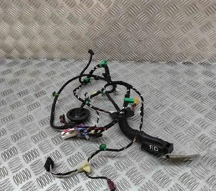 Volkswagen T-Roc Front door wiring loom 2GA971121AH