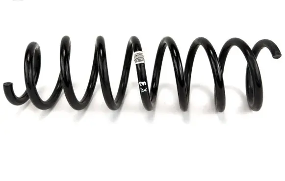 BMW X3 F25 Rear coil spring