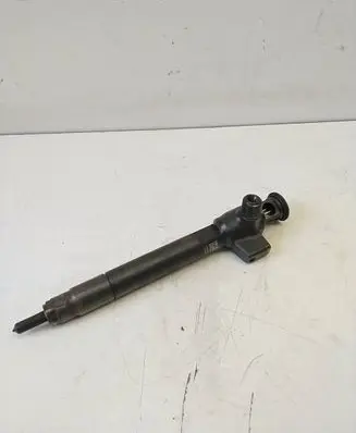 Peugeot 508 Fuel injector 9674984080 28388960 1007LH19R66