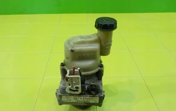 Dacia Sandero II Power steering pump 491108089R ZP45