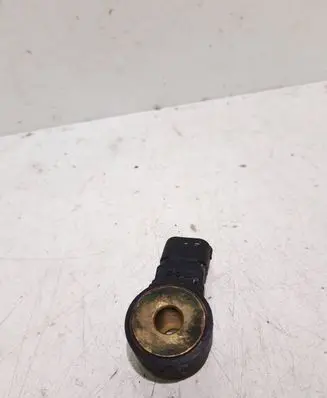 Porsche Cayenne (9PA) Detonation knock sensor 0261231113