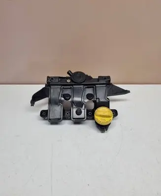Nissan Qashqai Intake manifold 118302761R