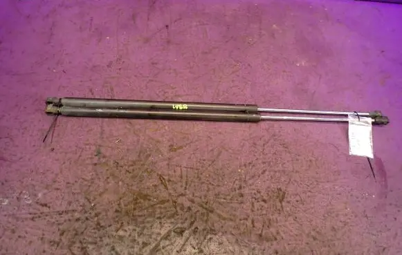 Tailgate strut
