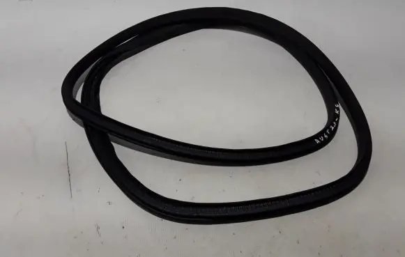 Renault Austral Rear door rubber seal (on body) 769233185R