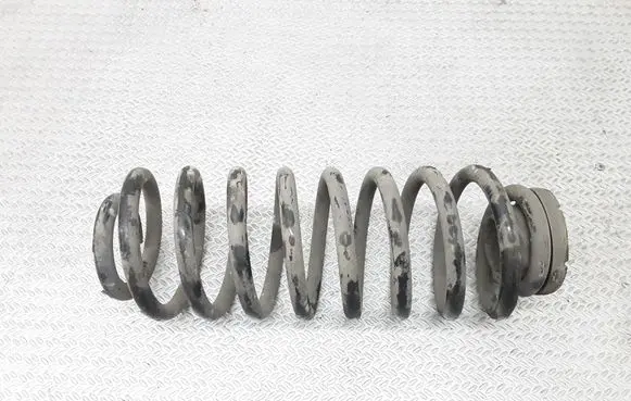 Seat Leon (1M) Rear coil spring