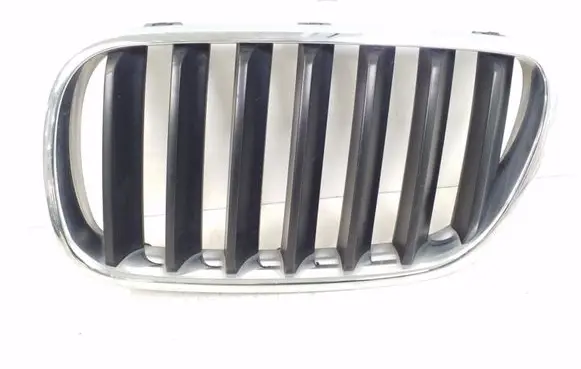 BMW X3 E83 Front grill 3420087