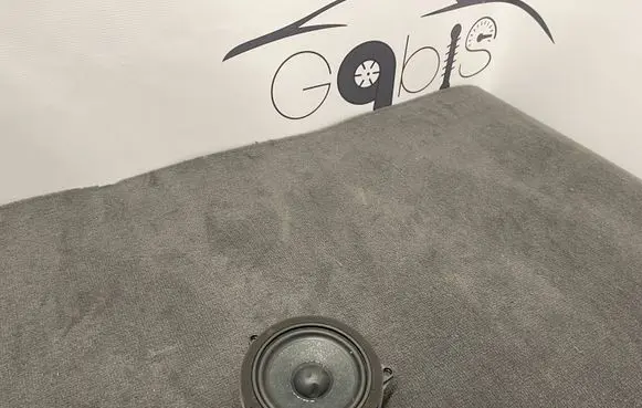 Panel speaker