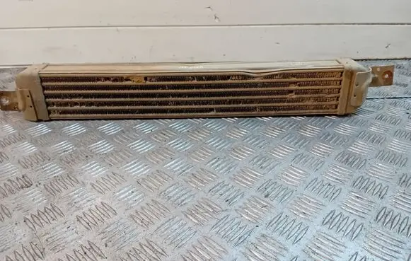Opel Meriva A Intercooler radiator 52401015