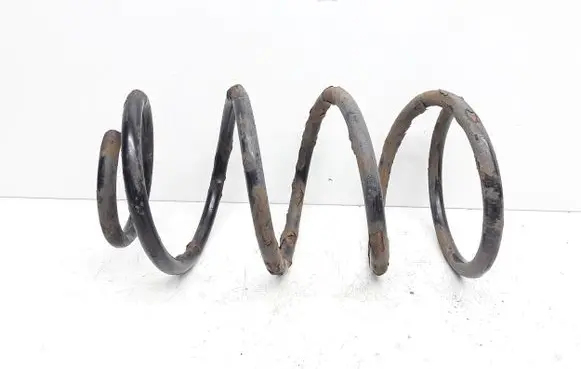 Front coil spring