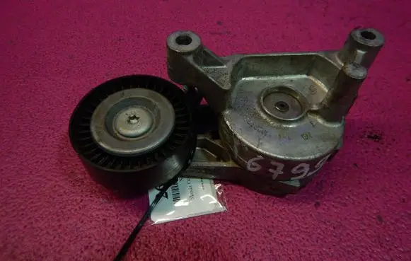 Skoda Octavia Mk2 (1Z) Timing belt tensioner 1023674