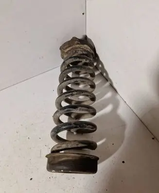 Rear coil spring