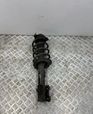 Hyundai Santa Fe Front shock absorber with coil spring 546512W500