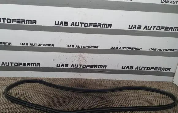 Mazda 3 II Rear door rubber seal (on body) 
