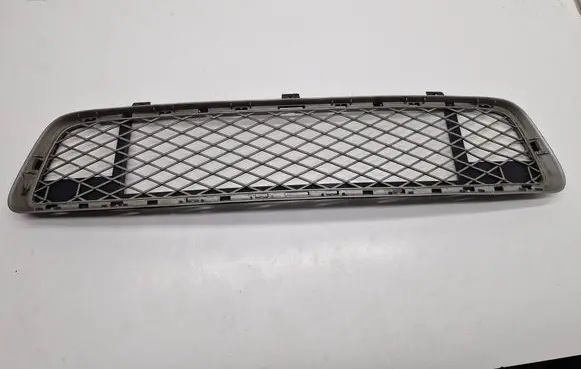 BMW X5 E70 Front bumper lower grill 51117163956 7163956