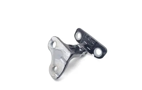 Jaguar I-Pace Rear door lower hinge