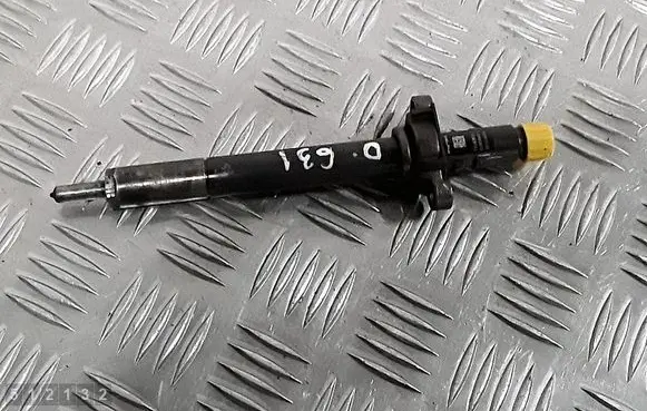 Citroen C5 Fuel injector 9688438580 ejbr06001d