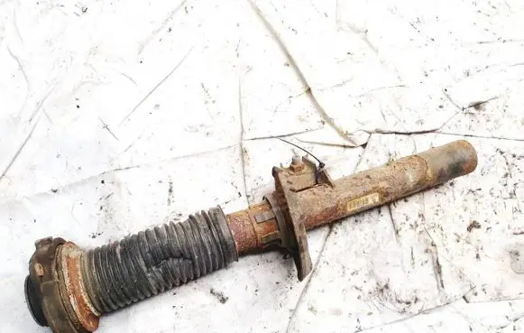 Volkswagen Golf V Front shock absorber/damper 1k0413031bf