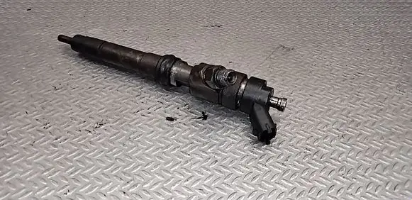 Fiat Ducato Fuel injector 0445120011