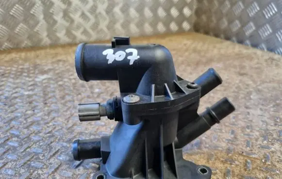 Thermostat/thermostat housing