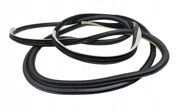 Renault Talisman Rubber seal front door (on door) 