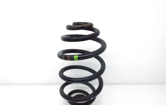 Volkswagen PASSAT B5.5 Rear coil spring