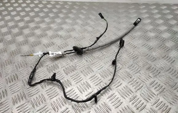 Volkswagen T-Roc Front door wiring loom 2GA972296