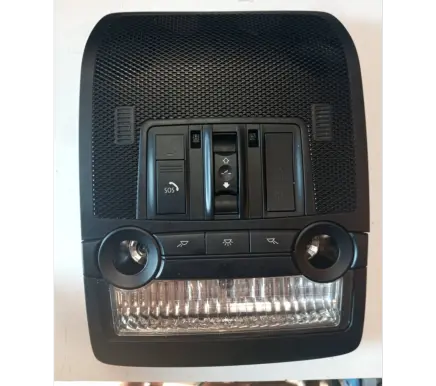 BMW X6 E71 Front seat light 15956810 96557659