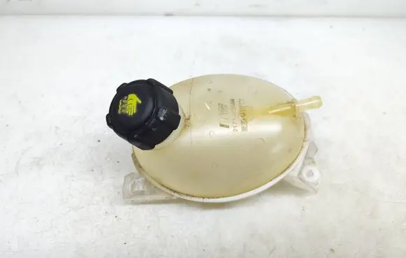 Dacia Sandero II Coolant expansion tank/reservoir 217107259R