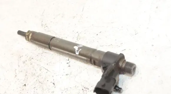 Land Rover Evoque I Fuel injector 9687454480
