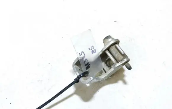 Peugeot 206 Rear door lower hinge