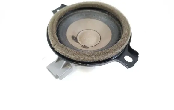 Panel speaker