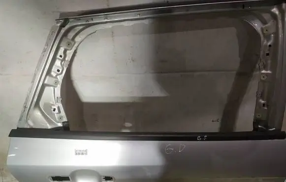 Ford Focus Rear door glass trim molding